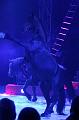 T-20160504-194458_IMG_5825-7