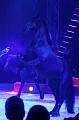 T-20160504-194458_IMG_5827-7