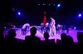 T-20160504-194643_IMG_1417-6