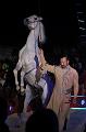 T-20160504-194808_IMG_5876-7