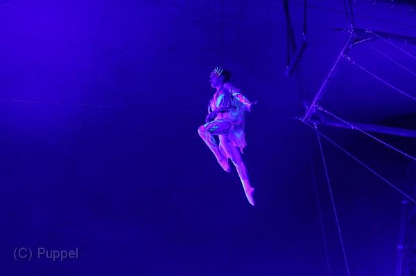 T-20160504-195252_IMG_6015-7.jpg
