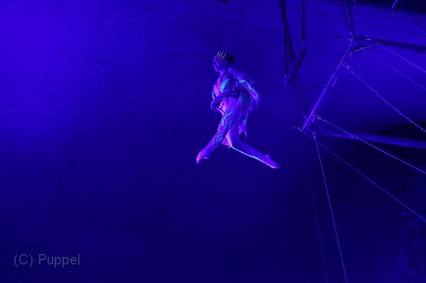 T-20160504-195252_IMG_6019-7.jpg
