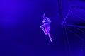 T-20160504-195252_IMG_6015-7