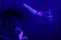 T-20160504-195314_IMG_6035-7