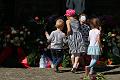 T-20160509-154519_IMG_0158-7