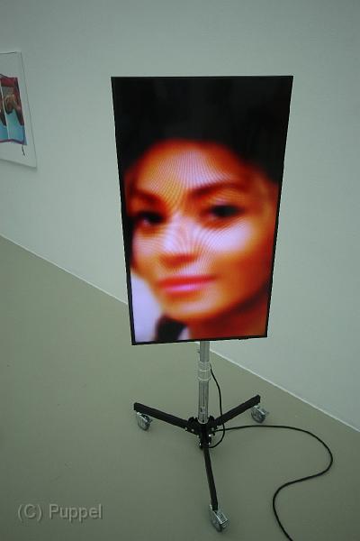 T-20160610-210008_IMG_4320-6.JPG