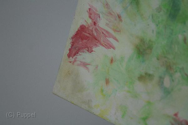 T-20160610-212951_IMG_0044-7.JPG