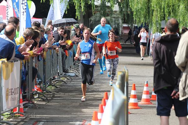 T-20160615-162001_IMG_0328-6.JPG