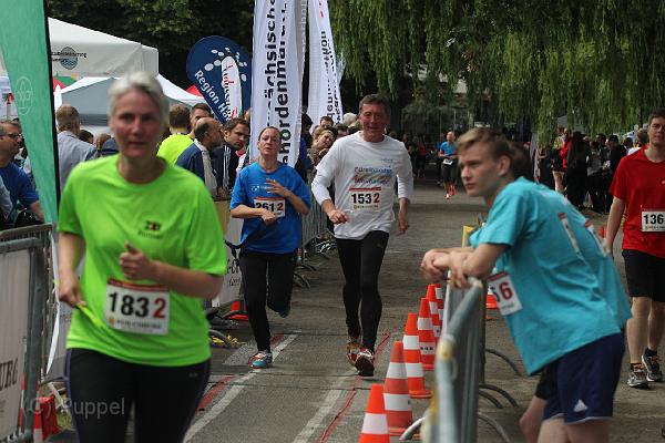 T-20160615-164018_IMG_1101-6.JPG