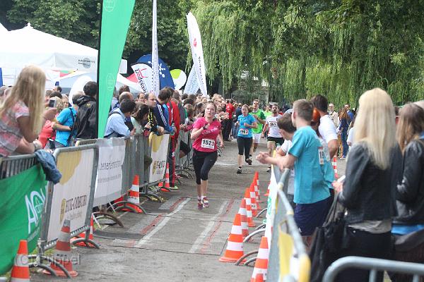T-20160615-165746_IMG_1582-6.JPG