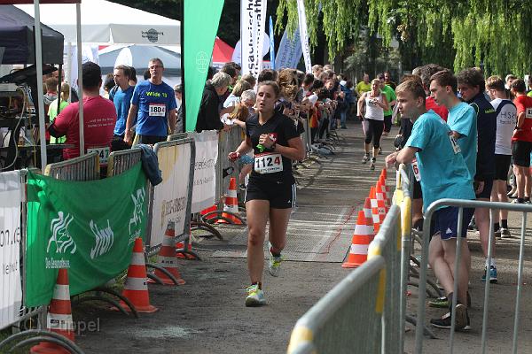 T-20160615-174459_IMG_3105-6.JPG