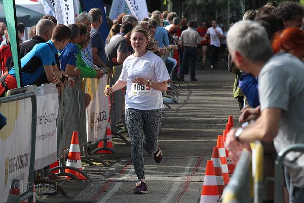 T-20160615-180500_IMG_3766-6.JPG