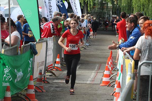 T-20160615-181011_IMG_3982-6.JPG