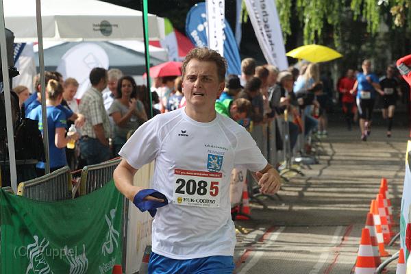 T-20160615-181512_IMG_4152-6.JPG