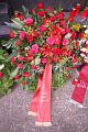 T-20160901-171252_IMG_2609-6