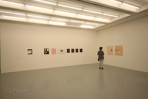 T-20160902-185231_IMG_5031-6.JPG