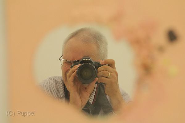T-20160902-185334_IMG_5273-7.JPG