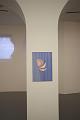 T-20160902-185549_IMG_5044-6
