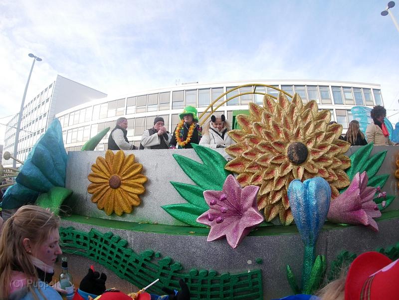 P7440483.JPG