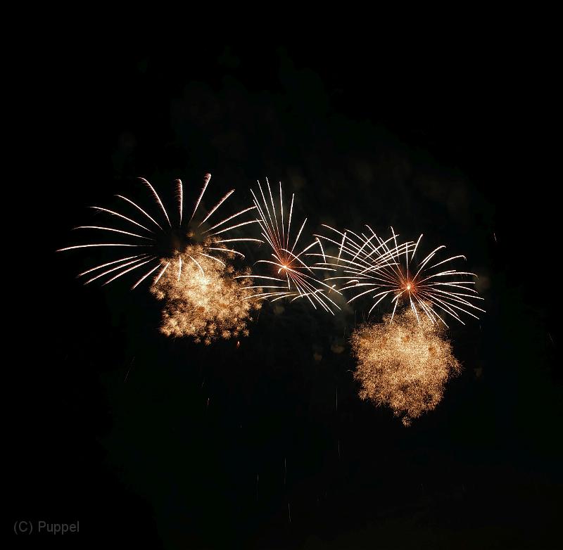 T-20190601-224827_P8400498-gx0a.jpg