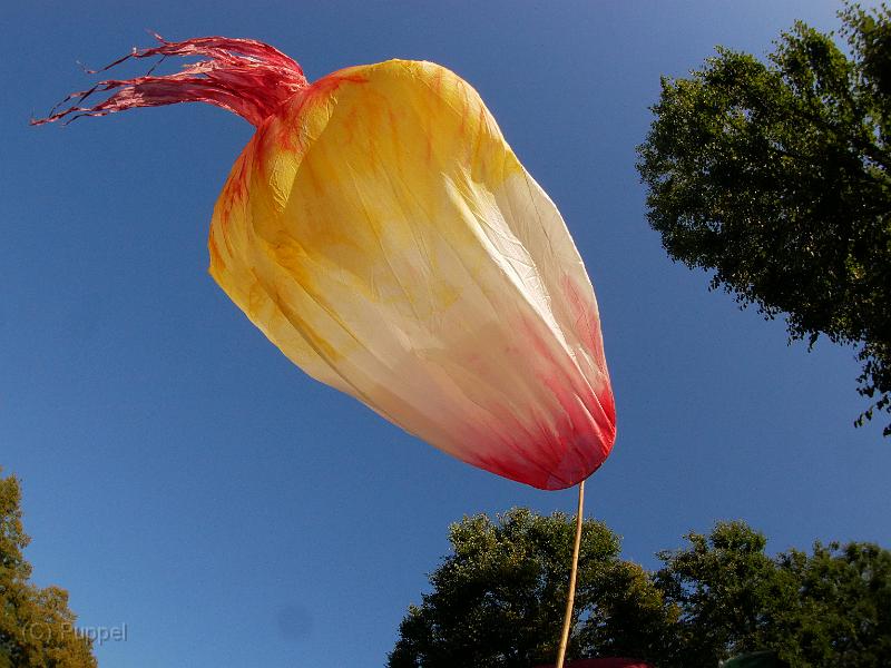 T-20190921-174925_P3970844-gx1.JPG