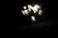 T-20190921-210708_IMG_6666-7