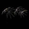 T-20190921-211634_IMG_6742-6aa