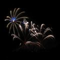 T-20190921-211701_IMG_6746-6aa