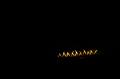 T-20190921-211948_IMG_6802-7