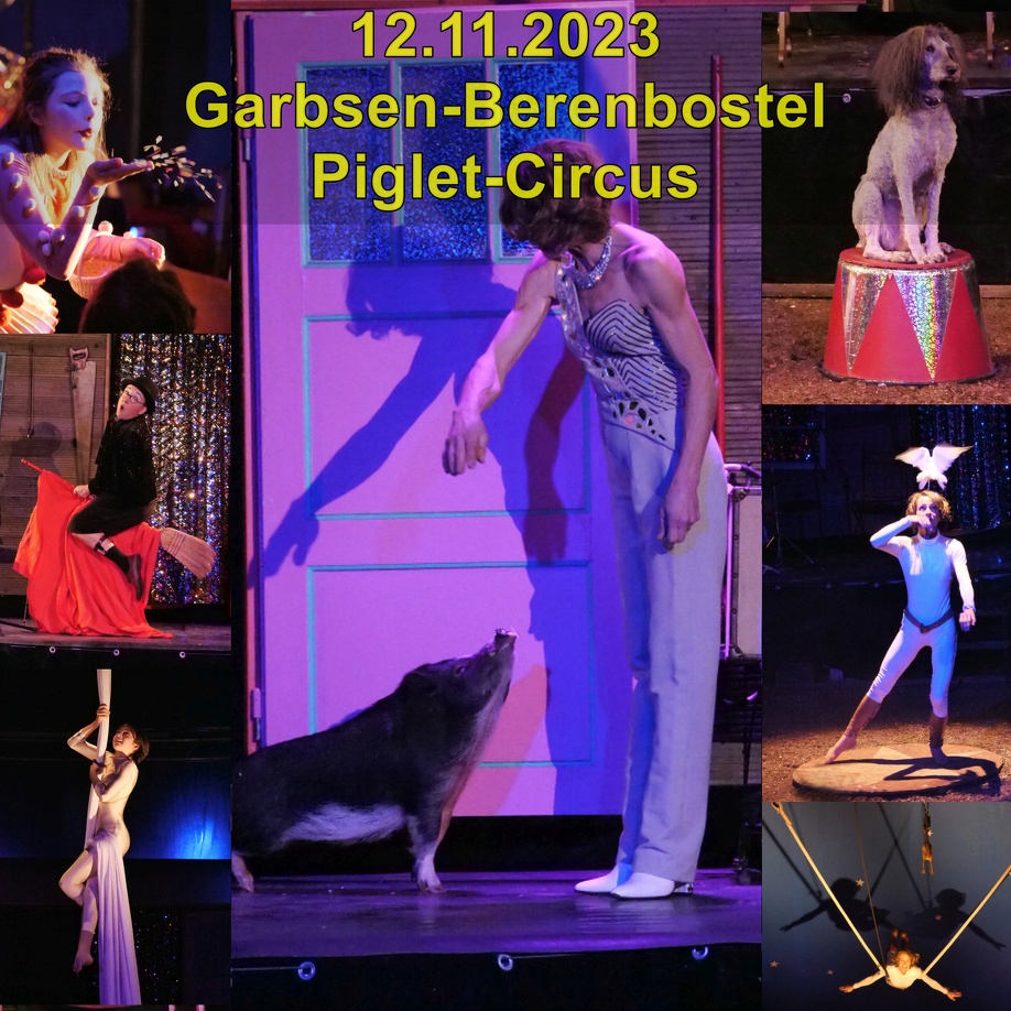 A Piglet-Circus
