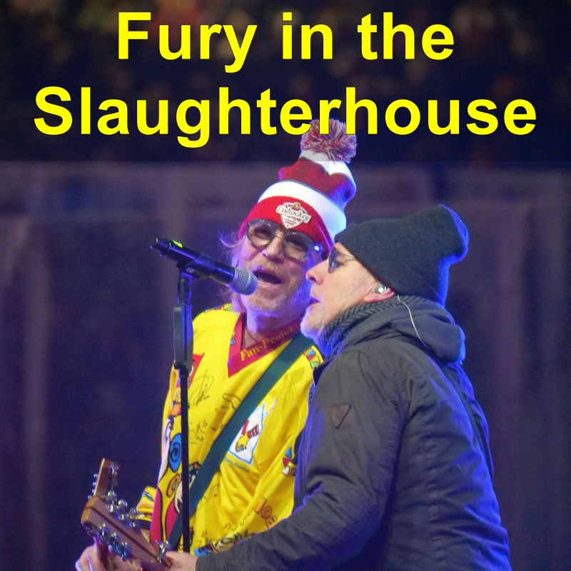 A Fury in the Slaughterhouse