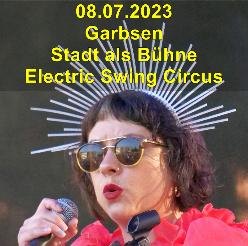 A Electric Swing Circus