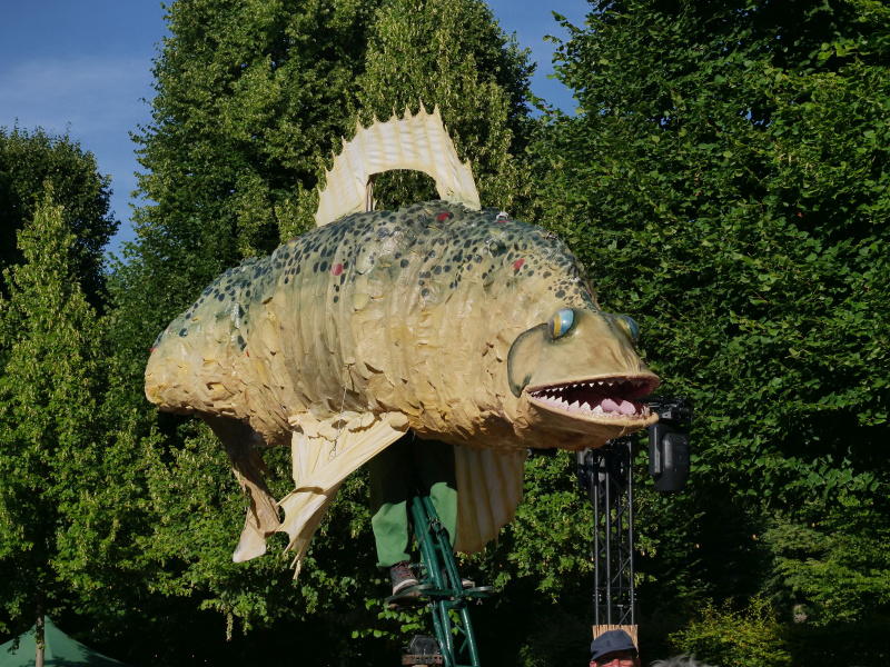 P-09-3-P4184022