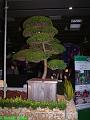 D20080127-0002-DSCF7743-2