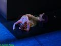 D20080419-1180-P1620542-8a