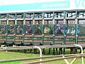 D20080420-1200-P1680787-8