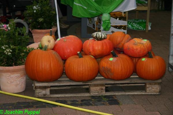 IMG_0077.jpg