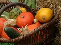 IMG_0183a
