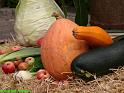 IMG_0186a