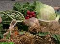 IMG_0197a