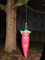 IMG_0949a