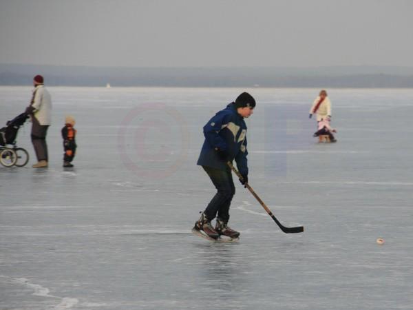 IMG_7210a.jpg