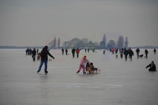 IMG_7252.jpg