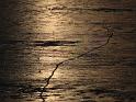 IMG_7229a