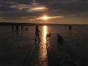 IMG_7431a
