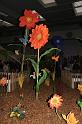 D0106_IMG_3531