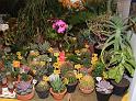 D0120_IMG_3928a