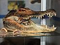 D0150_IMG_3867a