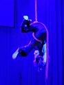IMG_5289a
