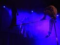 IMG_5479a